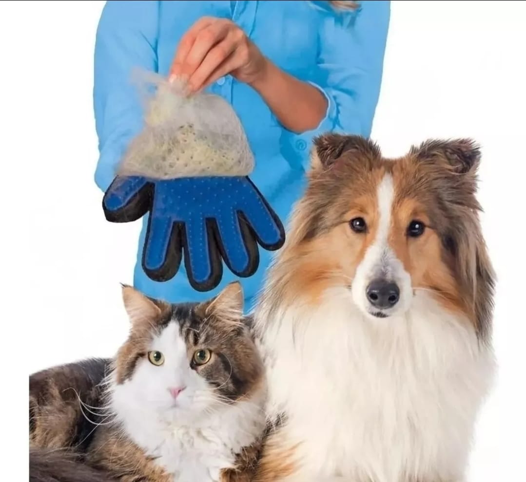 PetGlove